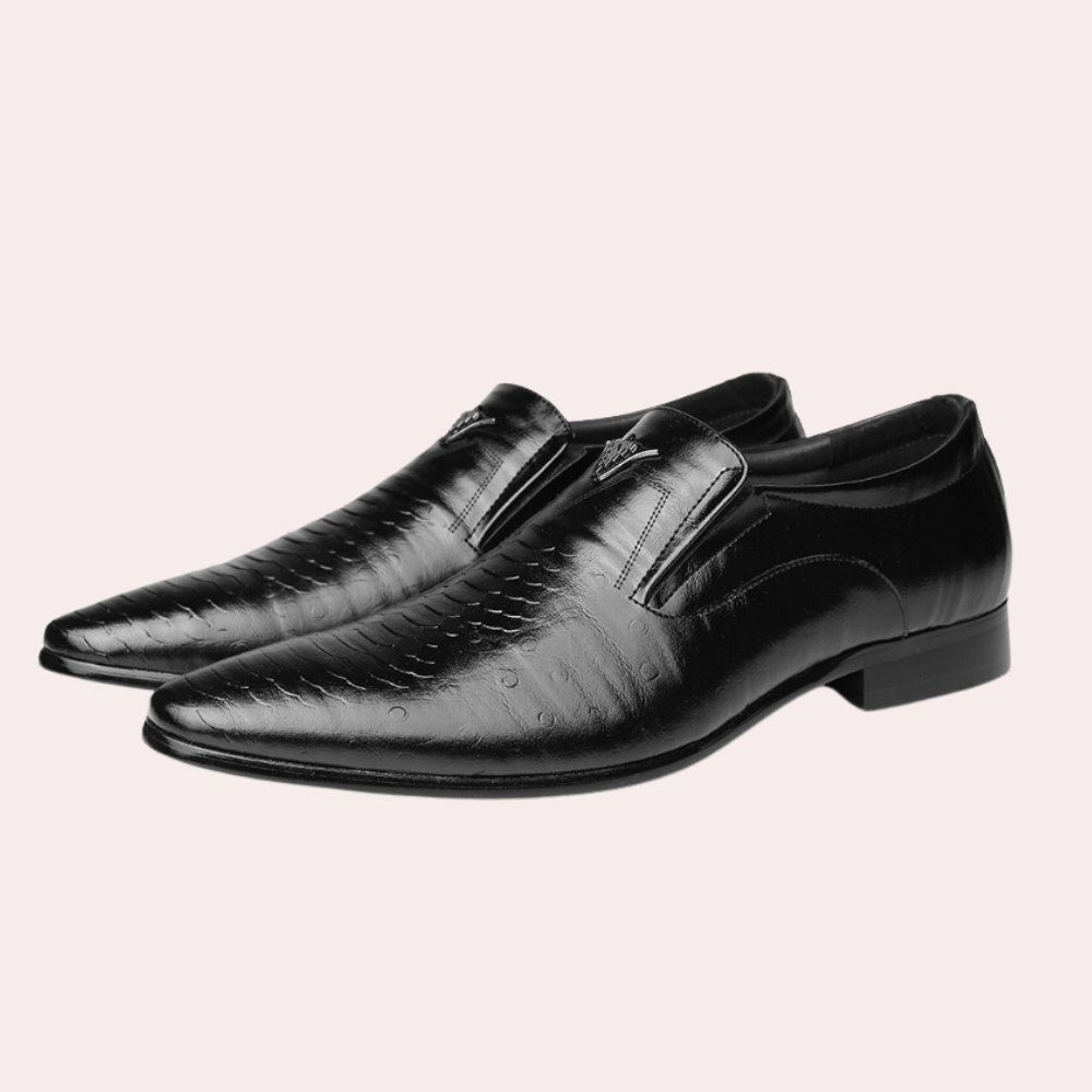 En stijlvolle herenschoenen
