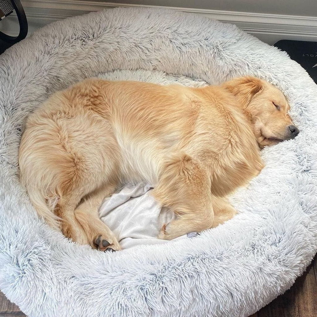Fluffy calming bed