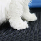 Kattenbakmat Plus