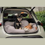 Honden autobed