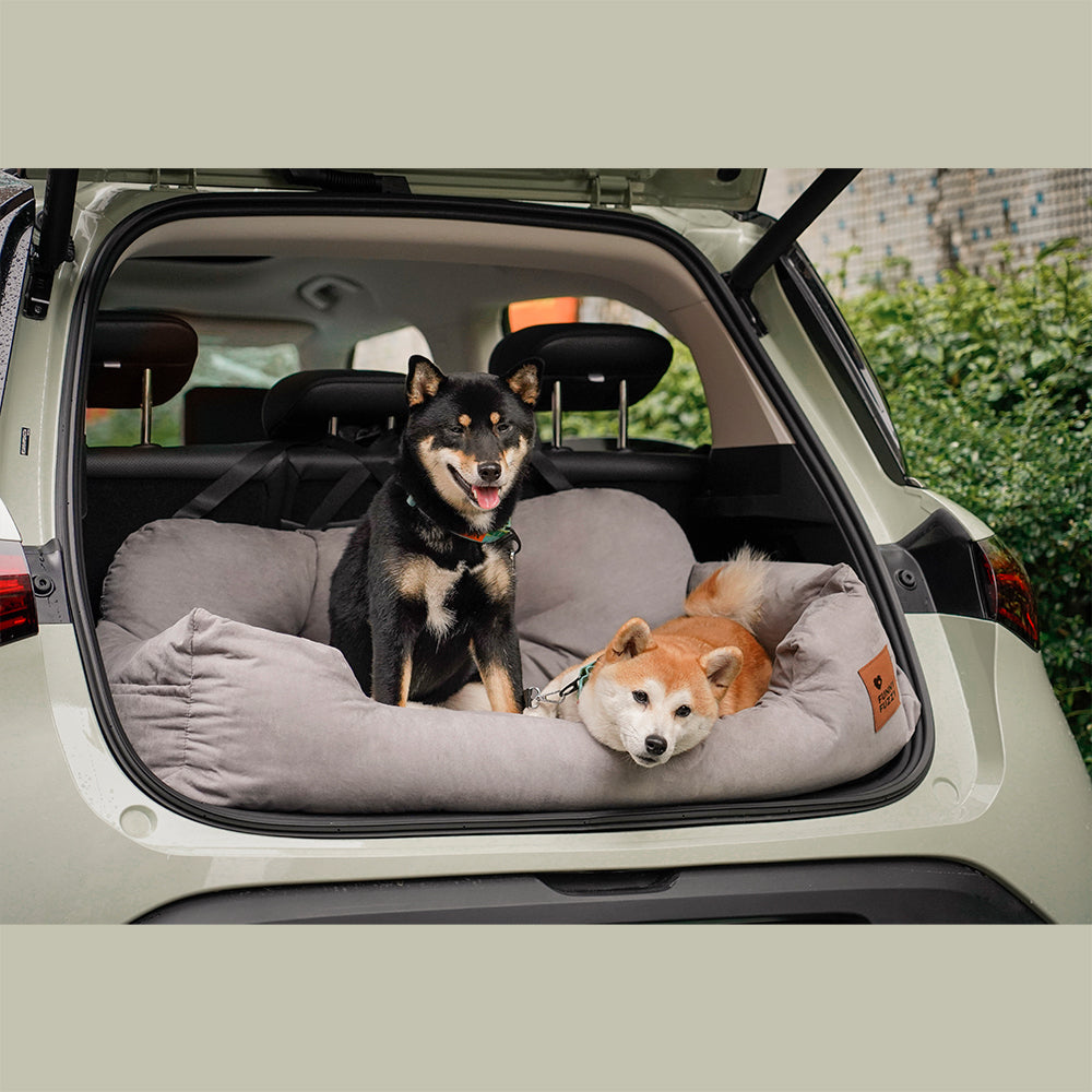 Honden autobed