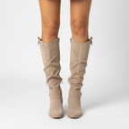 Dameslaarzen van suède-effect