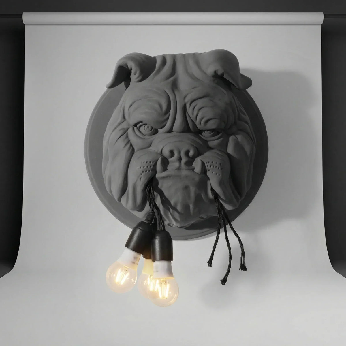 Decoratieve gesculpteerde wandlamp