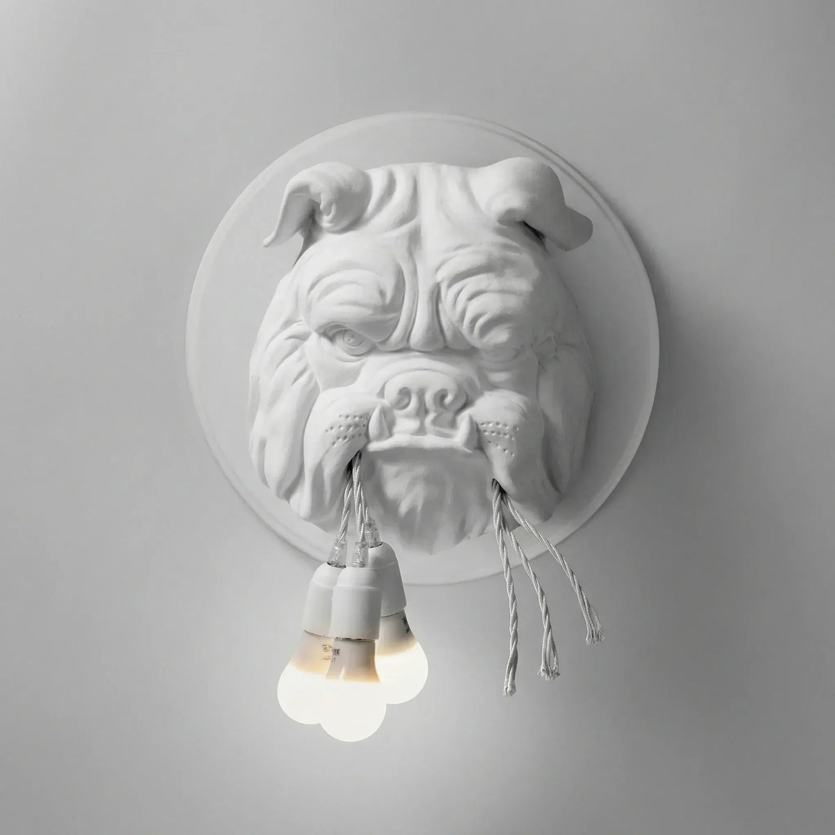 Decoratieve gesculpteerde wandlamp