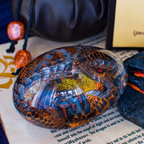 Dragon egg