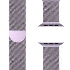 Milanese apple watch armband