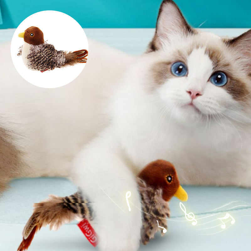 Interactief kattenspeeltje