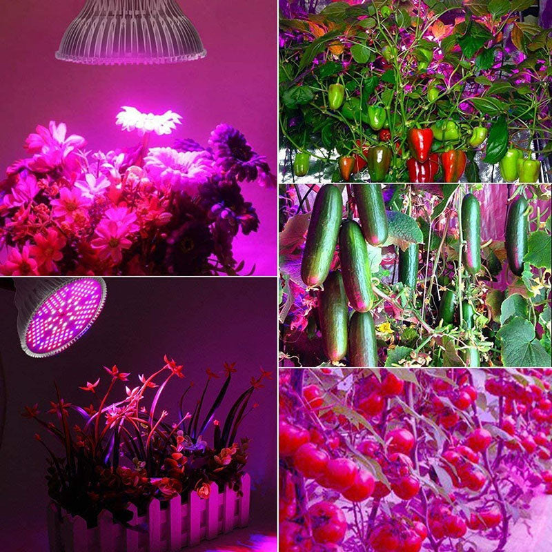 LED-kweeklamp PlantGrow