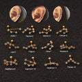 Zodiac sterrenbeeld oorbellen