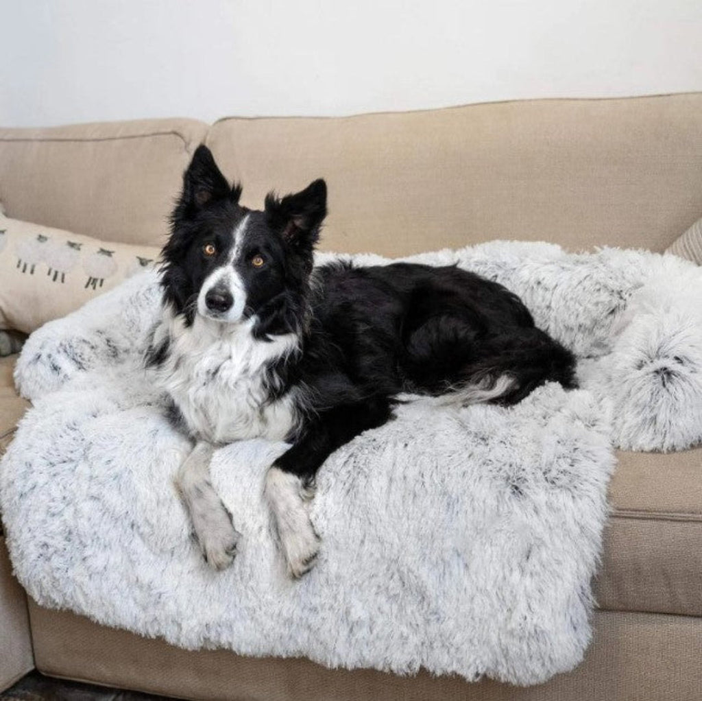 Hondensofa bed