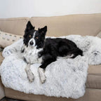 Hondensofa bed