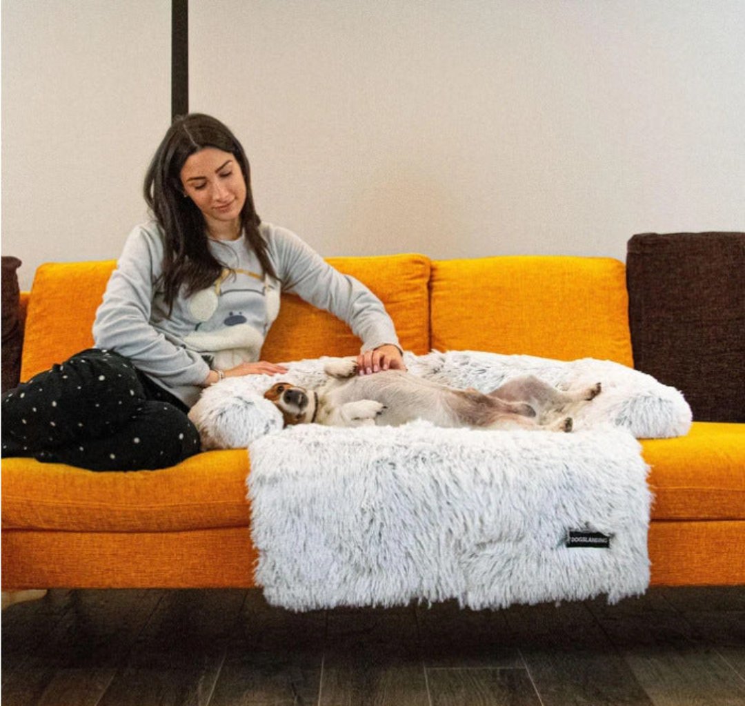 Hondensofa bed