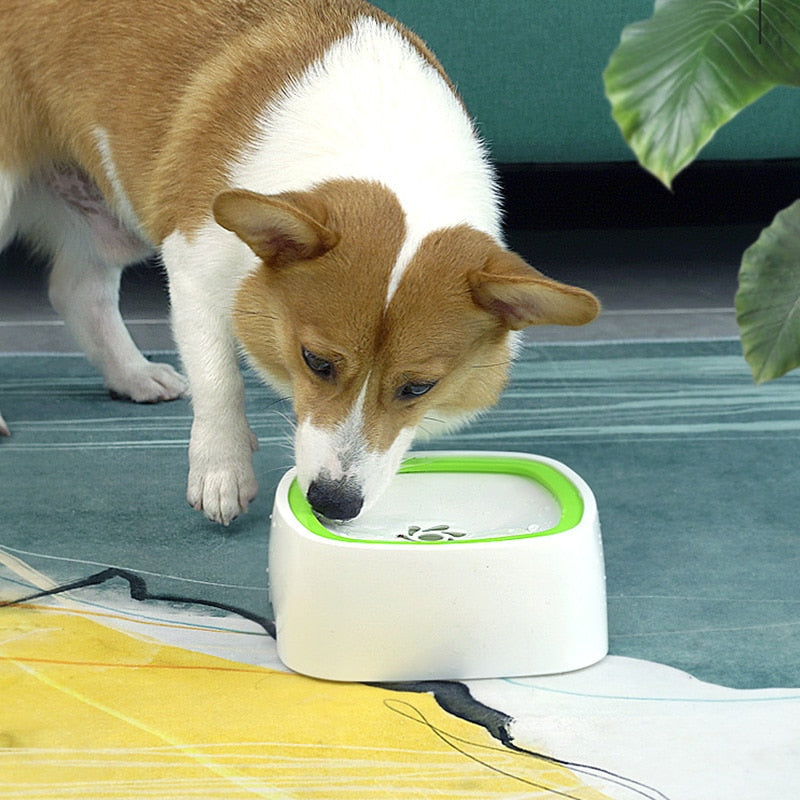 Drinkbak met waterdispenser Pet Splash Bowl