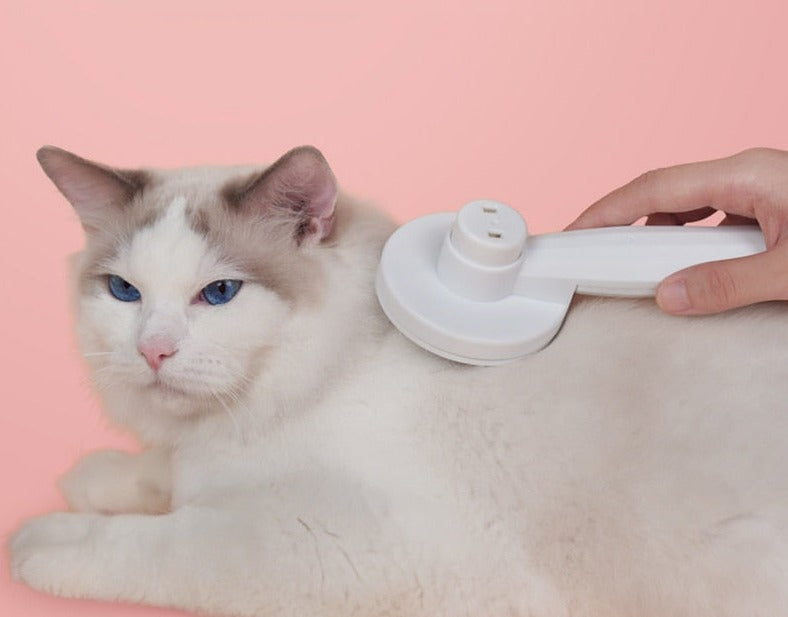 Zelfreinigende kattenborstel Kitty