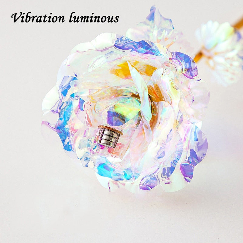 Galaxy rose