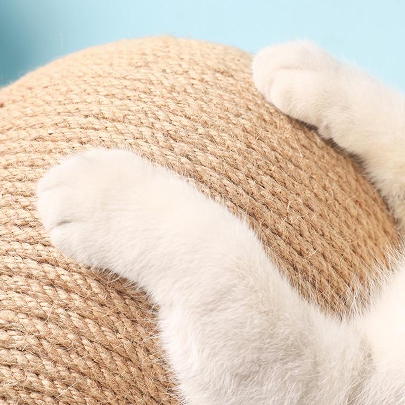 Kattenspeeltje
