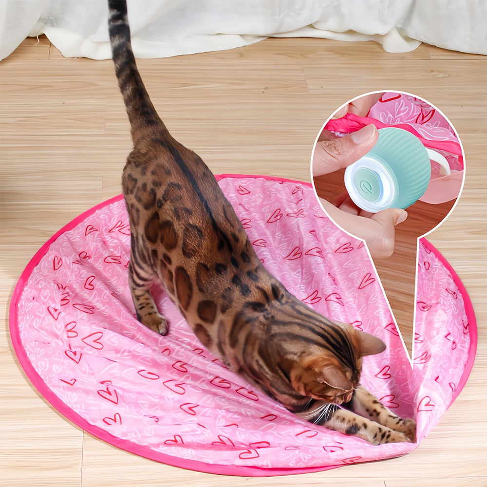 Interactief bewegend speeltje voor katten