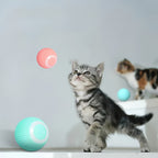 Interactief bewegend speeltje voor katten