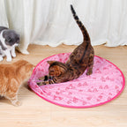 Interactief bewegend speeltje voor katten
