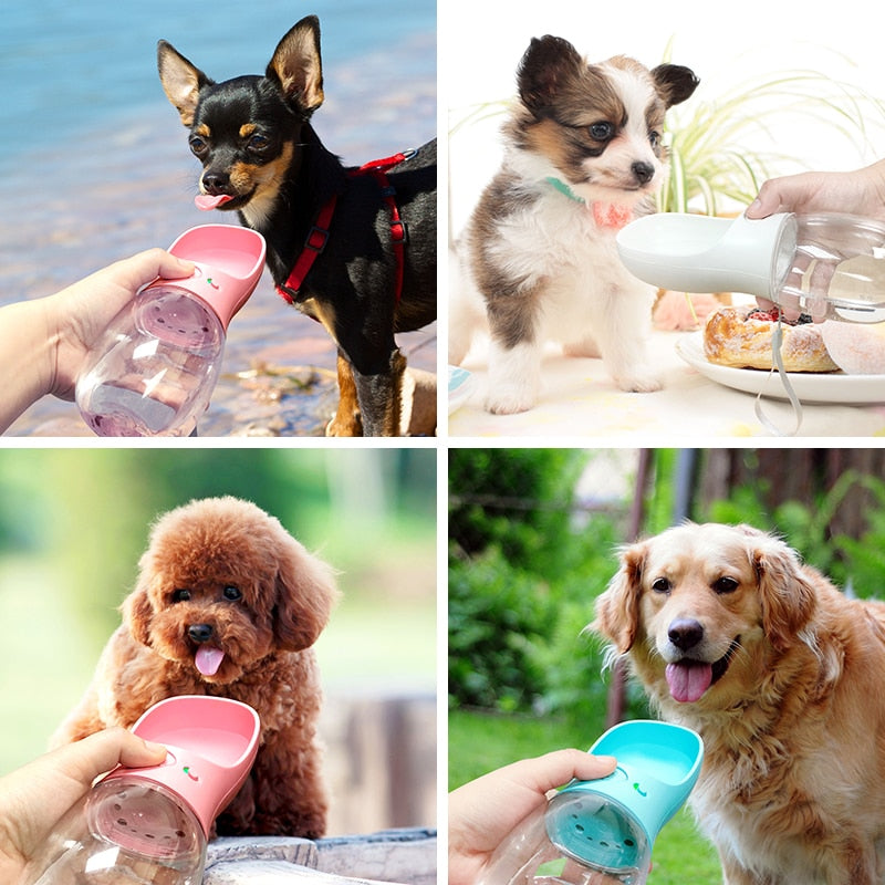Drinkfles voor honden Doggo Bottle