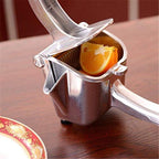 Handmatige sapmaker Juice Press