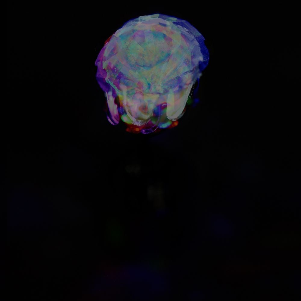 Lichtgevende oorbellen Glowy ears