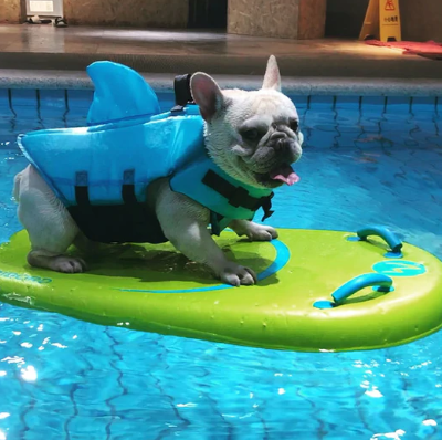 Honden zwemvest