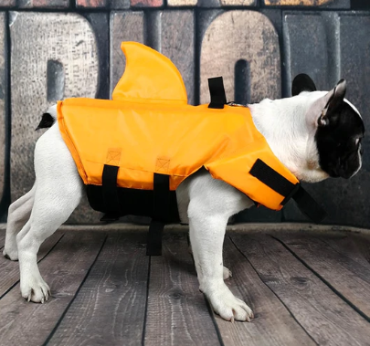 Honden zwemvest