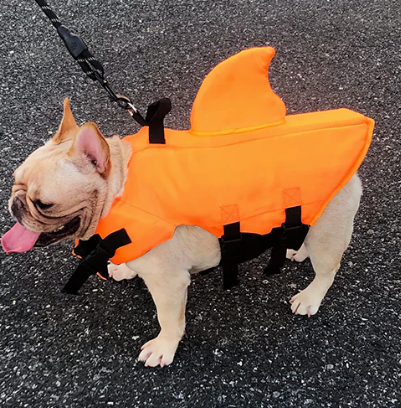 Honden zwemvest
