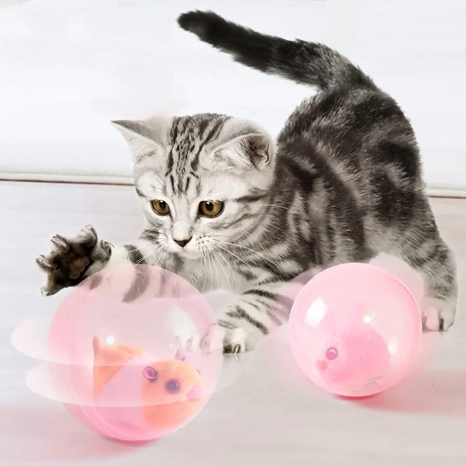 Rollend kattenspeeltje