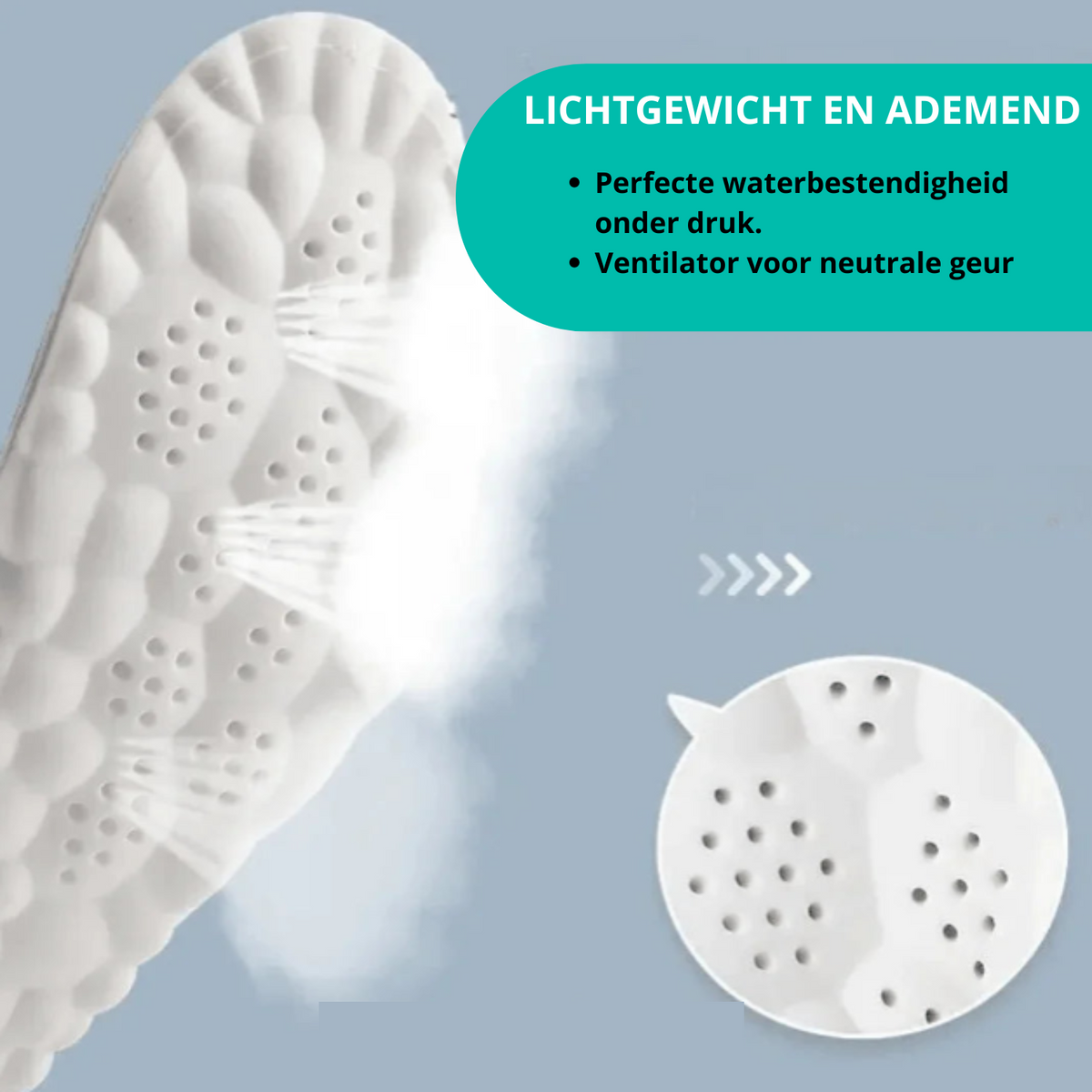 4D inlegzolen