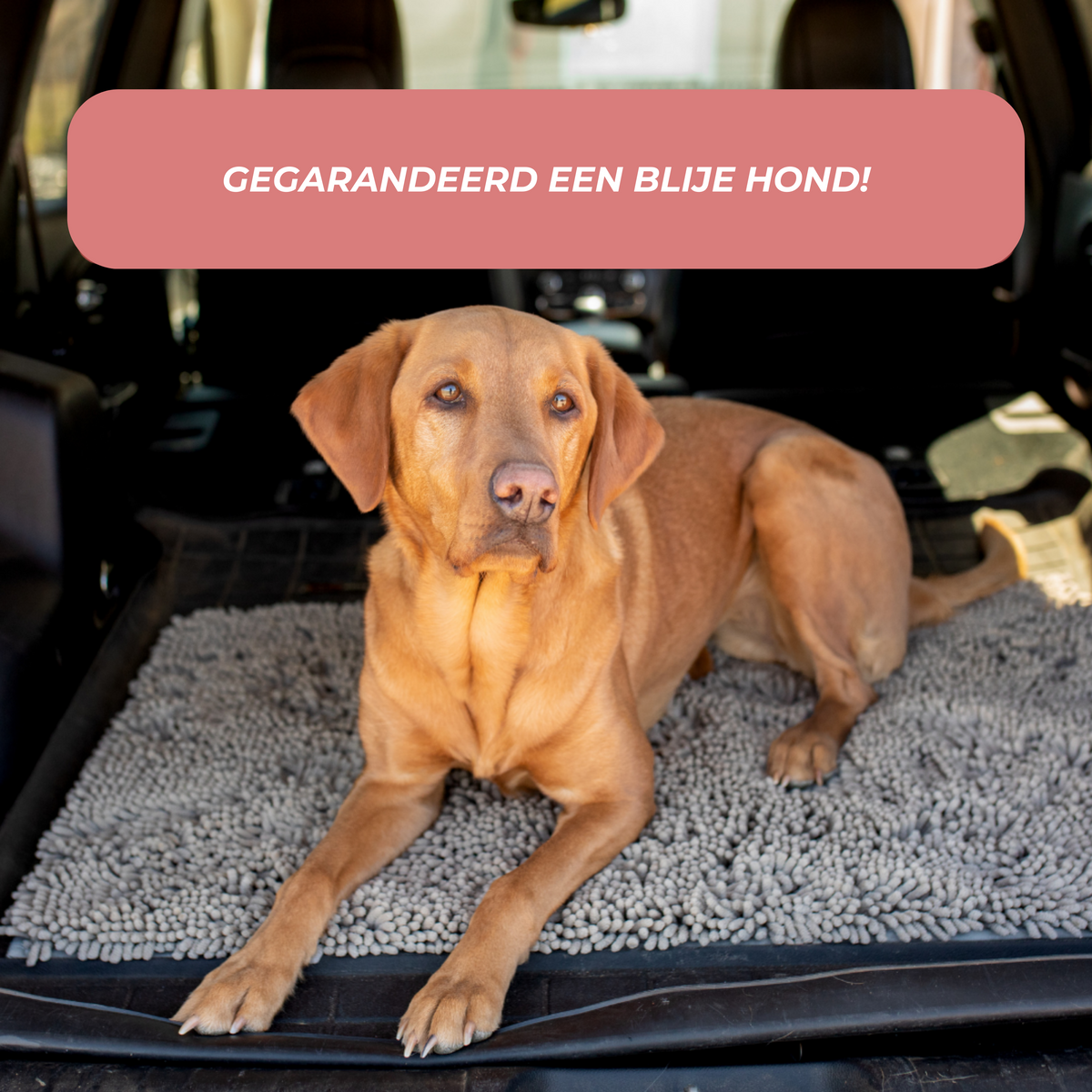 Honden schoonloopmat