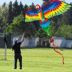 Papegaaivlieger 3D Parrot