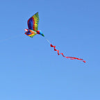 Papegaaivlieger 3D Parrot