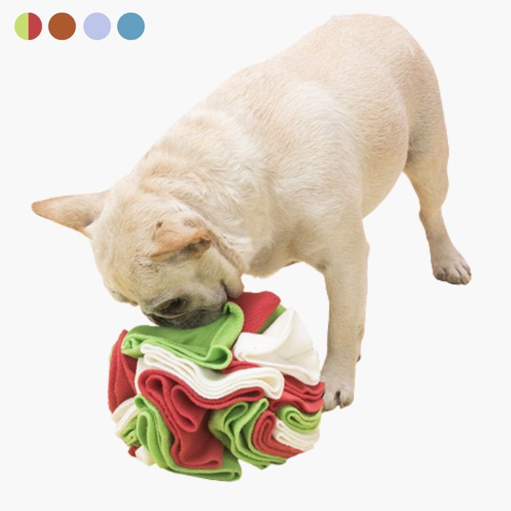 Snuffelbal voor honden