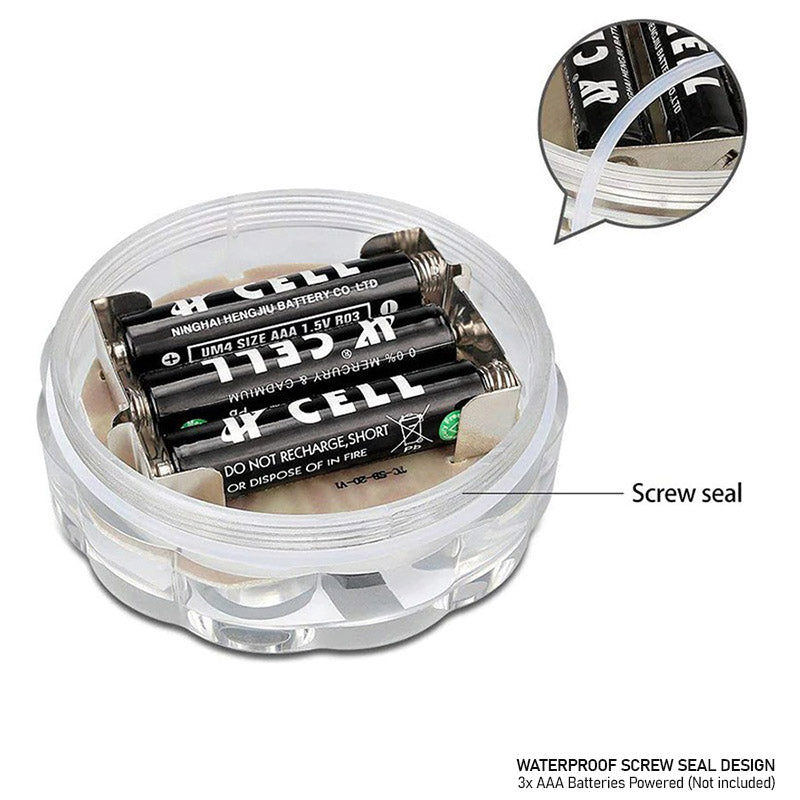Portable led's