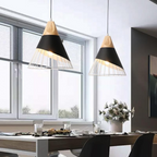 Scandinavische industriële hanglamp