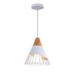 Scandinavische industriële hanglamp
