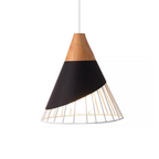 Scandinavische industriële hanglamp