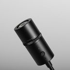 Projectorlamp