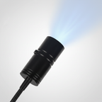 Projectorlamp