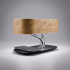 Multifunctionele bureaulamp