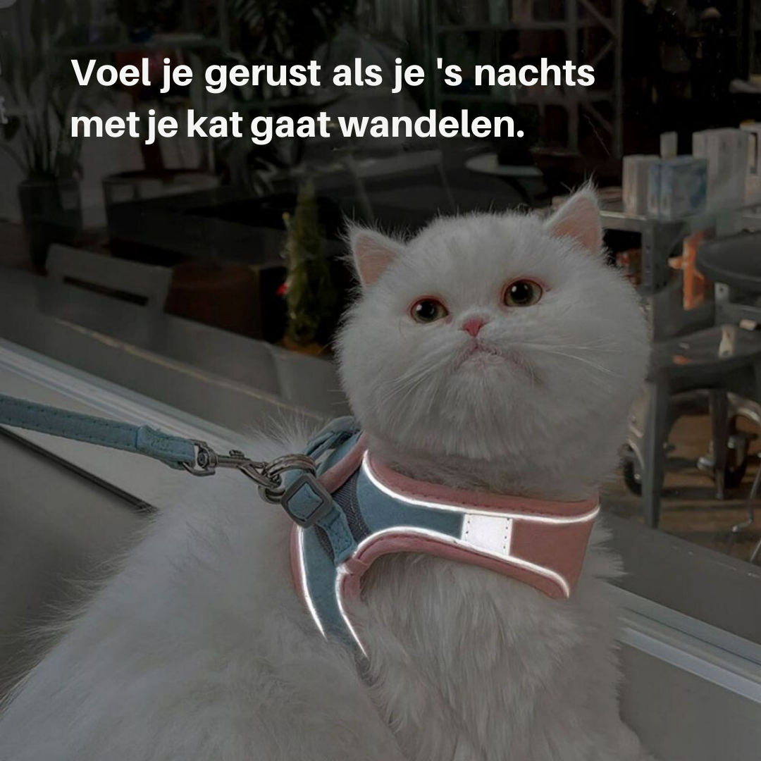 Kattentuigje — afbeelding 27