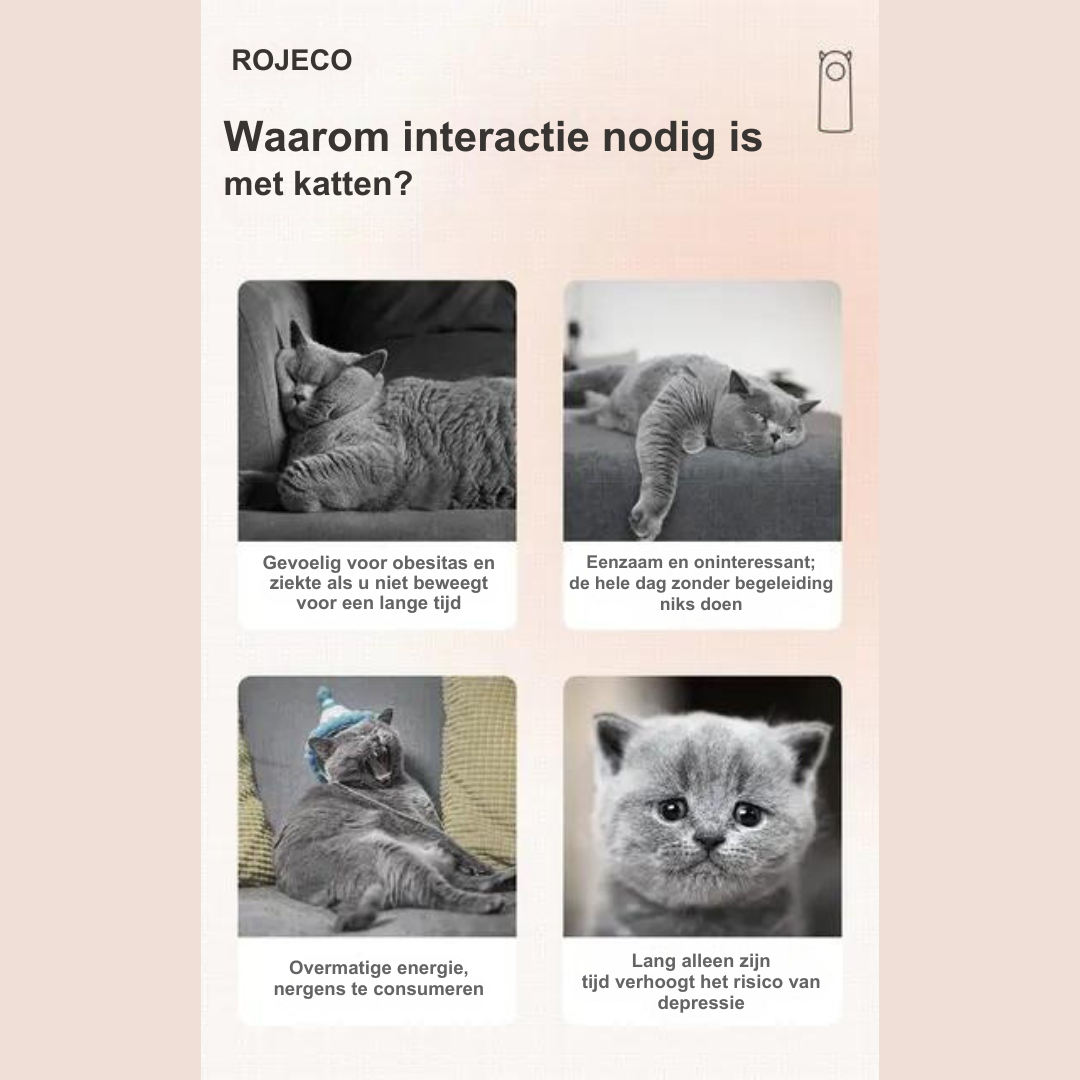 Interactief laser kattenspeelgoed