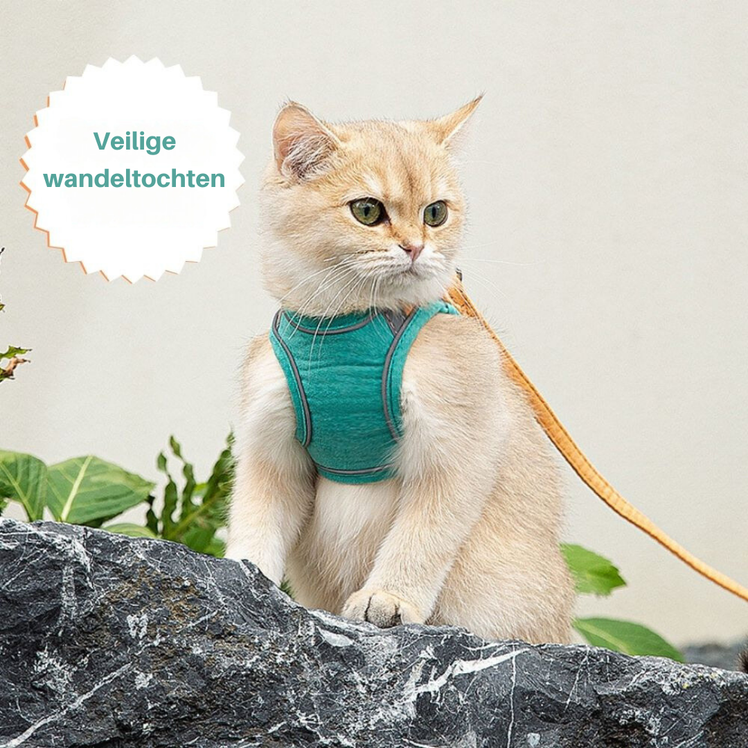 Kattentuigje — afbeelding 29