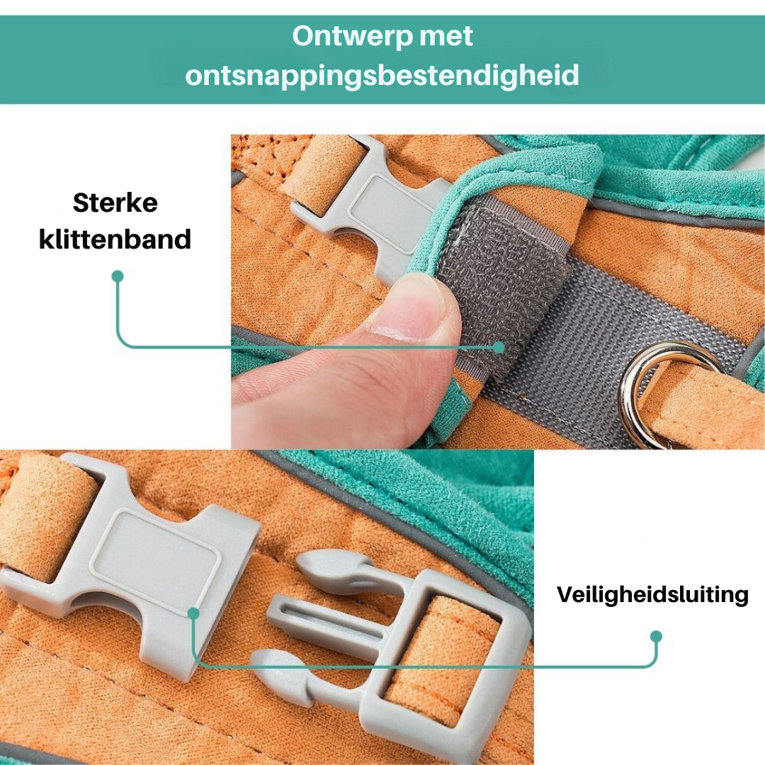 Kattentuigje — afbeelding 24