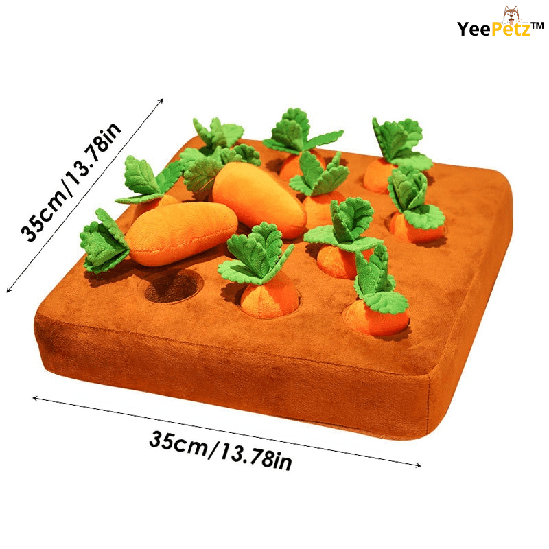 Carrot schattenjacht