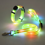 Lichtgevende LED honden halsband met riem