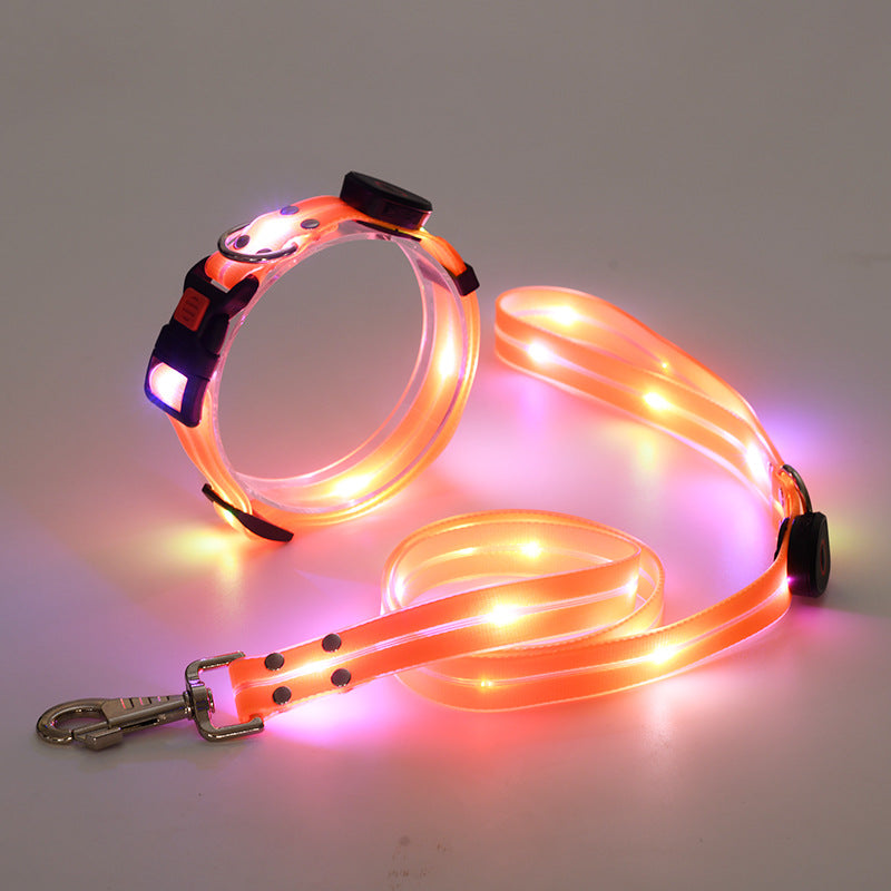 Lichtgevende LED honden halsband met riem