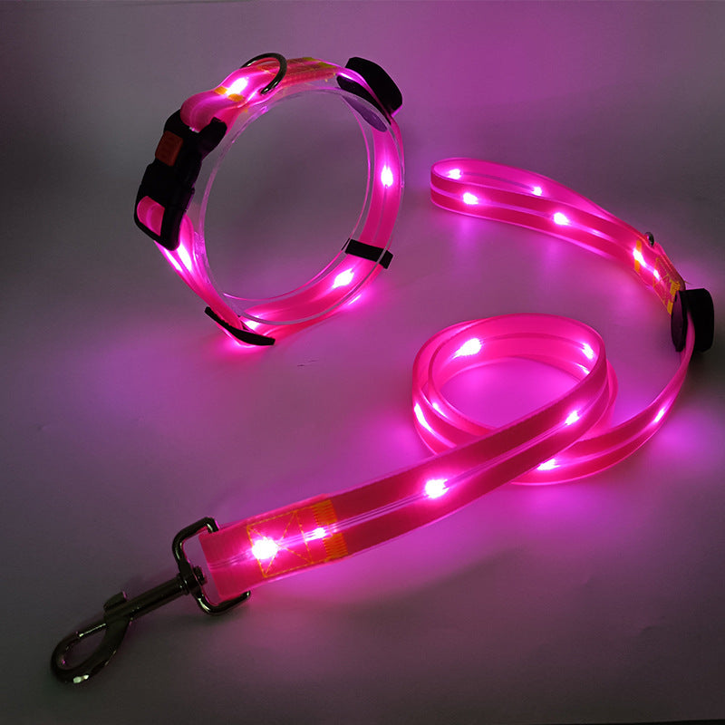 Lichtgevende LED honden halsband met riem
